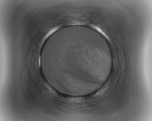 X0000086961221200704301231