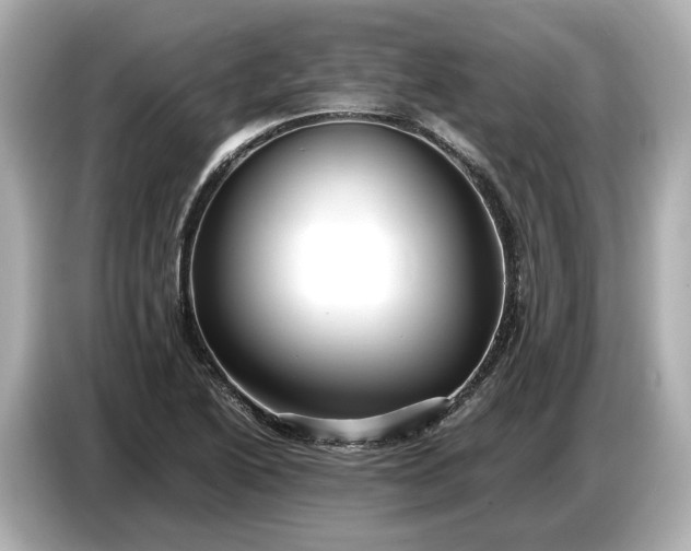 X0000086961222200704301231