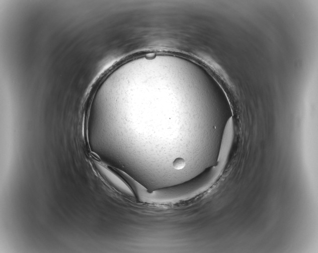 X0000086961224200704301231