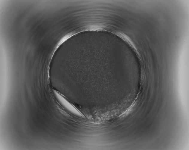 X0000086961226200704301231