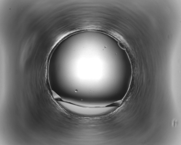 X0000086961228200704301231