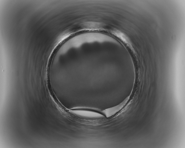 X0000086961229200704301231