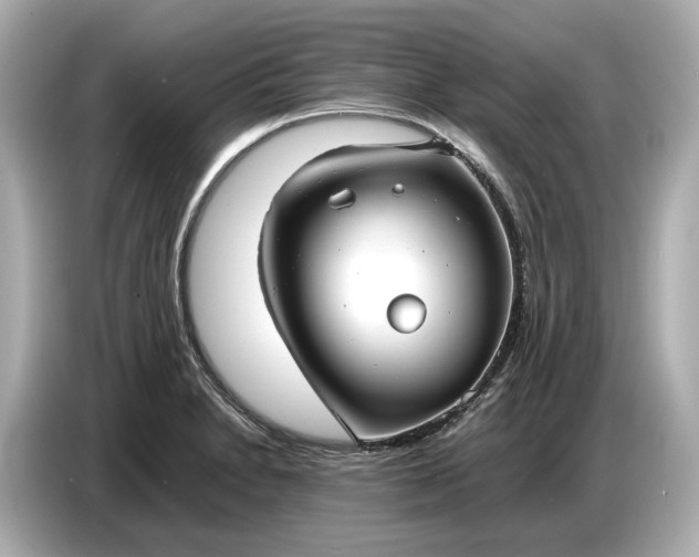X0000086961230200704301231