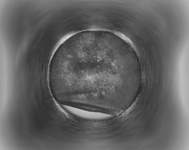 X0000086961231200704301231
