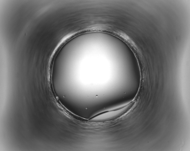 X0000086961232200704301231