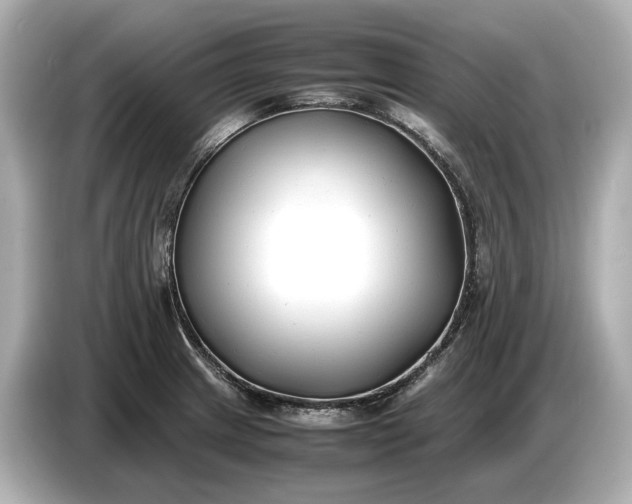 X0000086961233200704301231