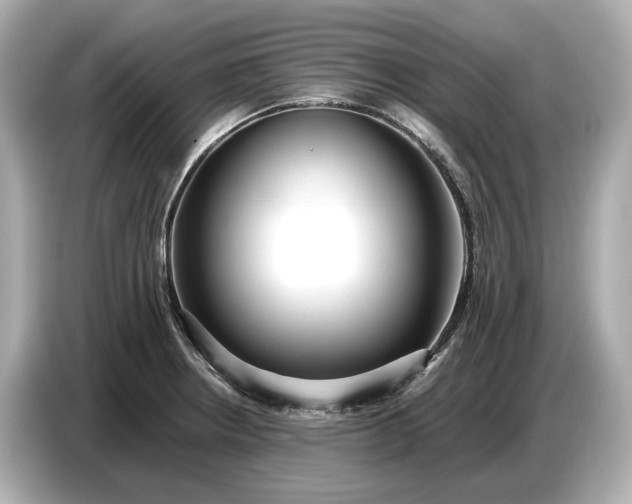X0000086961234200704301231