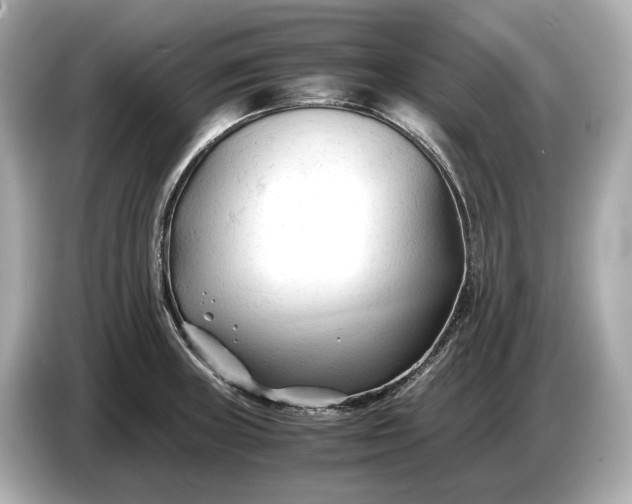 X0000086961235200704301231