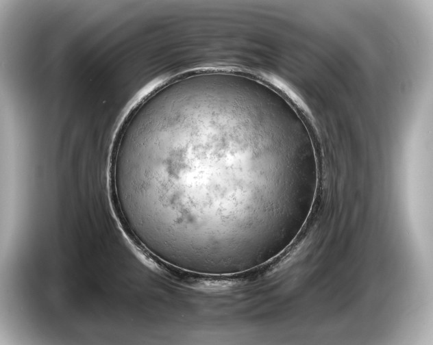 X0000086961237200704301231