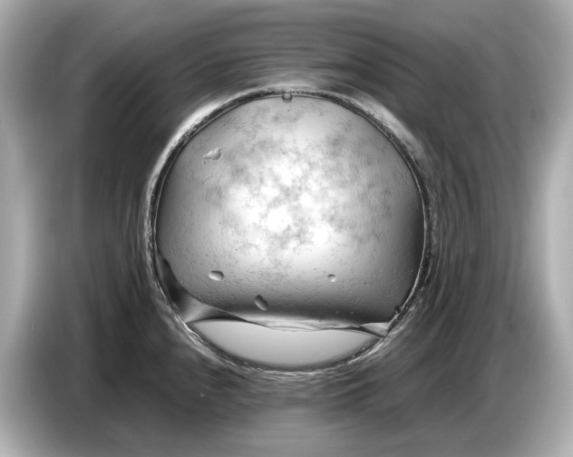 X0000086961240200704301231