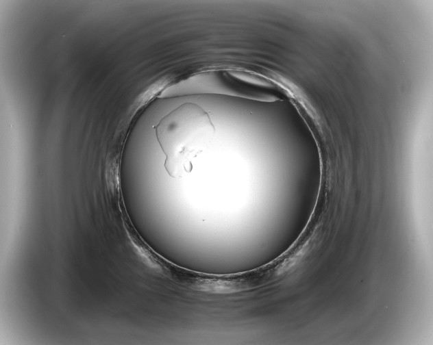 X0000086961241200704301231