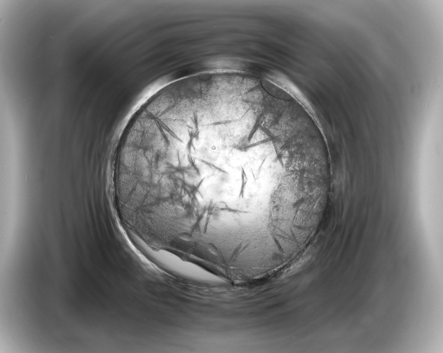 X0000086961243200704301231