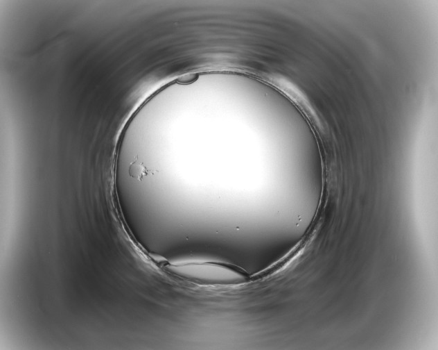 X0000086961244200704301231