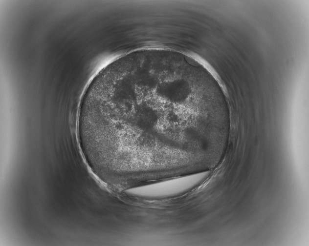 X0000086961245200704301231