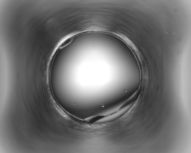 X0000086961246200704301231