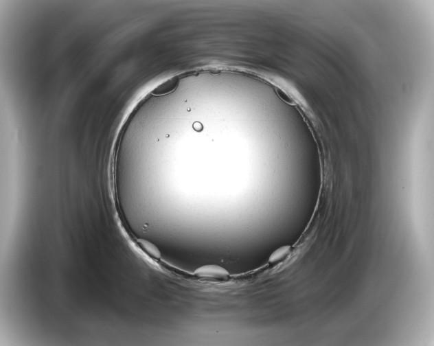X0000086961247200704301231