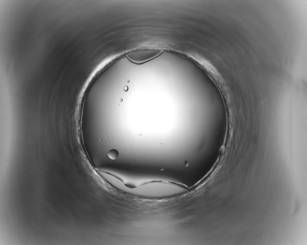 X0000086961248200704301231