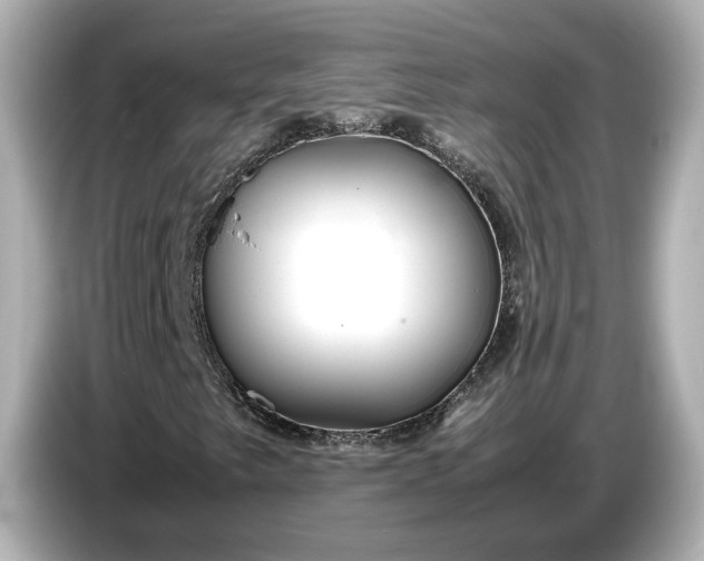 X0000086961249200704301231