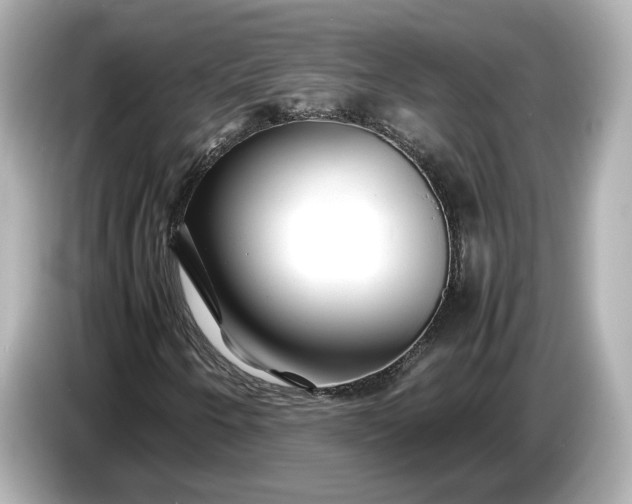 X0000086961250200704301231