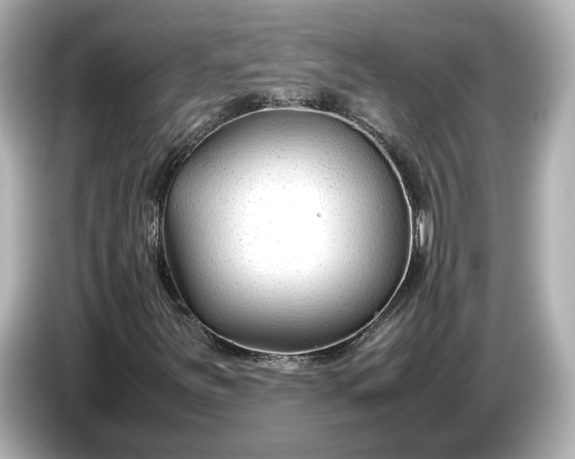 X0000086961251200704301231
