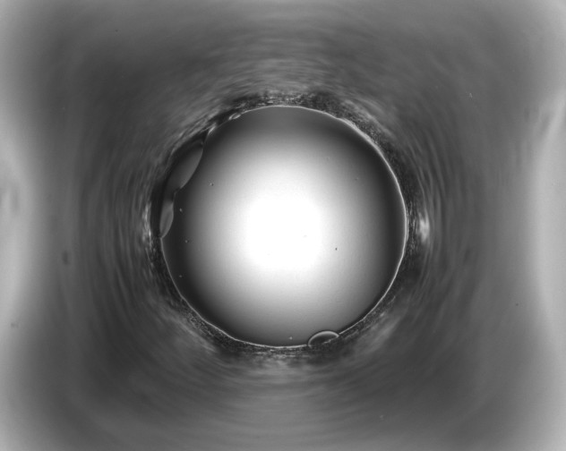 X0000086961252200704301231