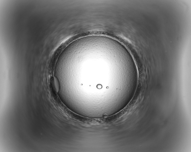 X0000086961255200704301230