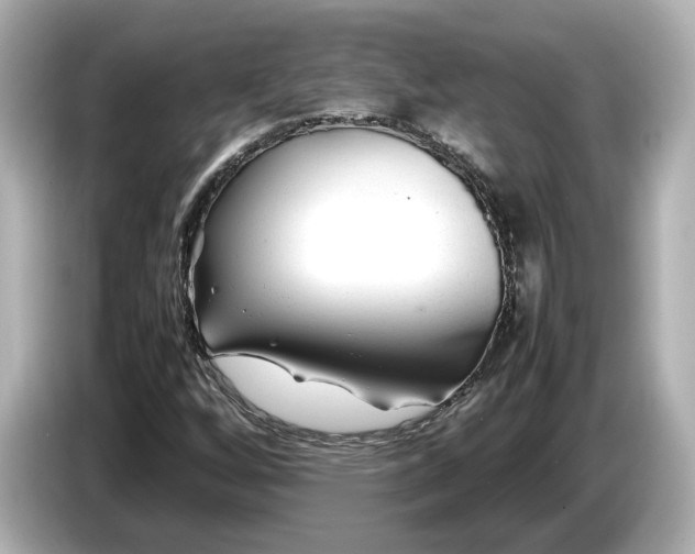 X0000086961256200704301230