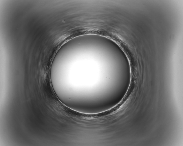 X0000086961257200704301230