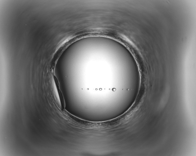 X0000086961259200704301230