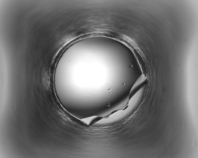 X0000086961260200704301230