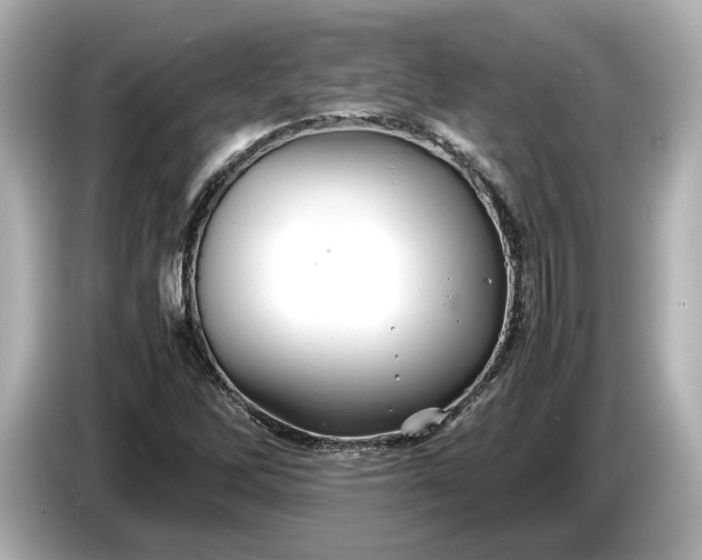 X0000086961262200704301230