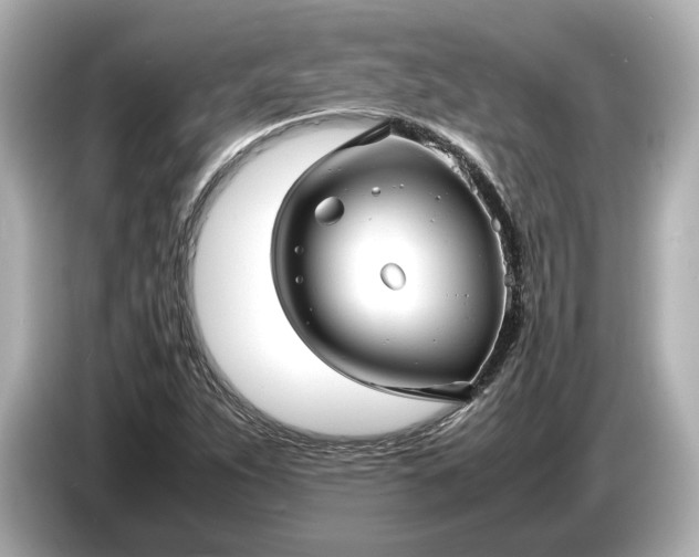 X0000086961263200704301230