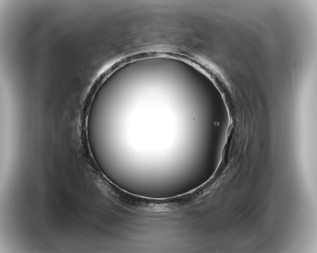 X0000086961264200704301230