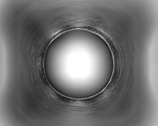 X0000086961265200704301230