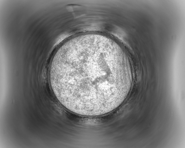 X0000086961266200704301230
