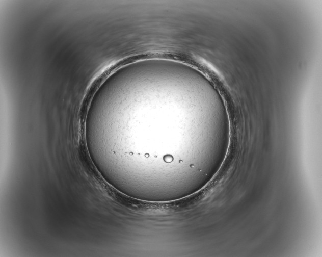X0000086961267200704301230