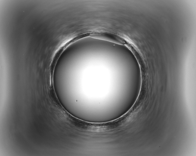 X0000086961269200704301230