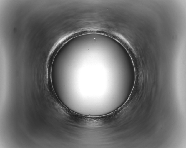 X0000086961270200704301230