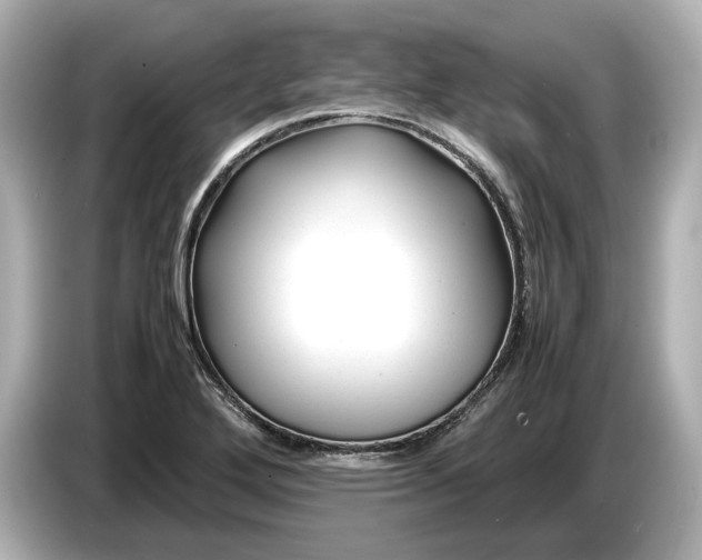 X0000086961272200704301230