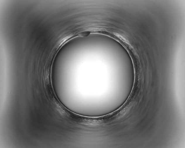 X0000086961273200704301230