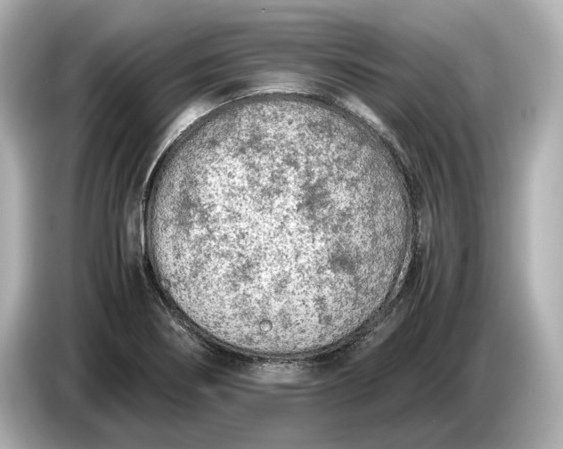 X0000086961274200704301230