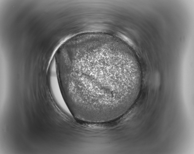 X0000086961275200704301230