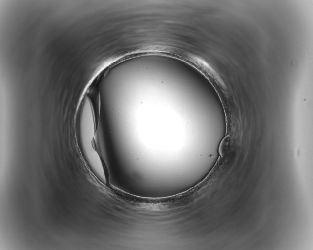 X0000086961276200704301230