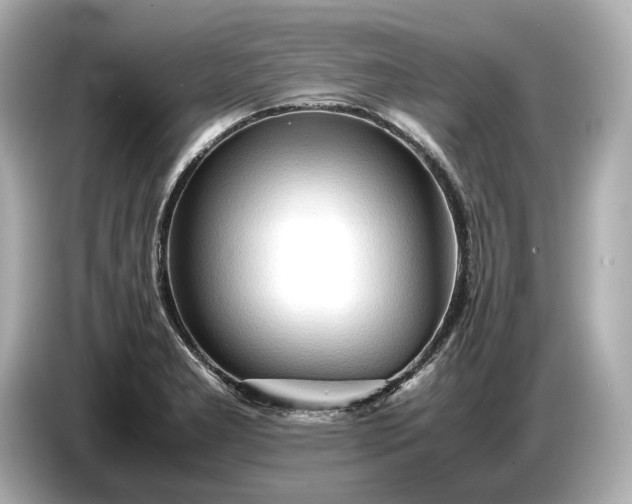X0000086961277200704301230