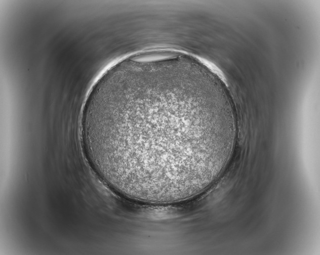 X0000086961279200704301230