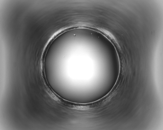 X0000086961280200704301230