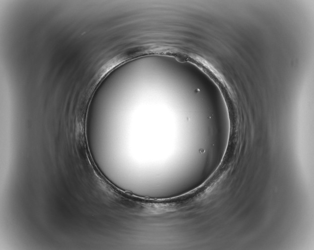X0000086961281200704301230
