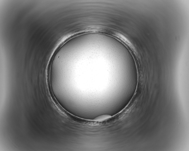 X0000086961283200704301230