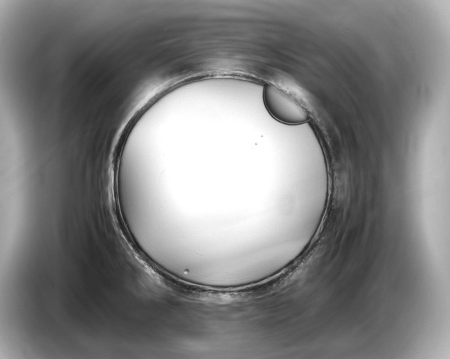 X0000086961286200704301230