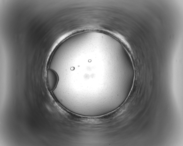 X0000086961287200704301230